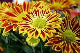 3 Free Things to Do in Findlay This Spring