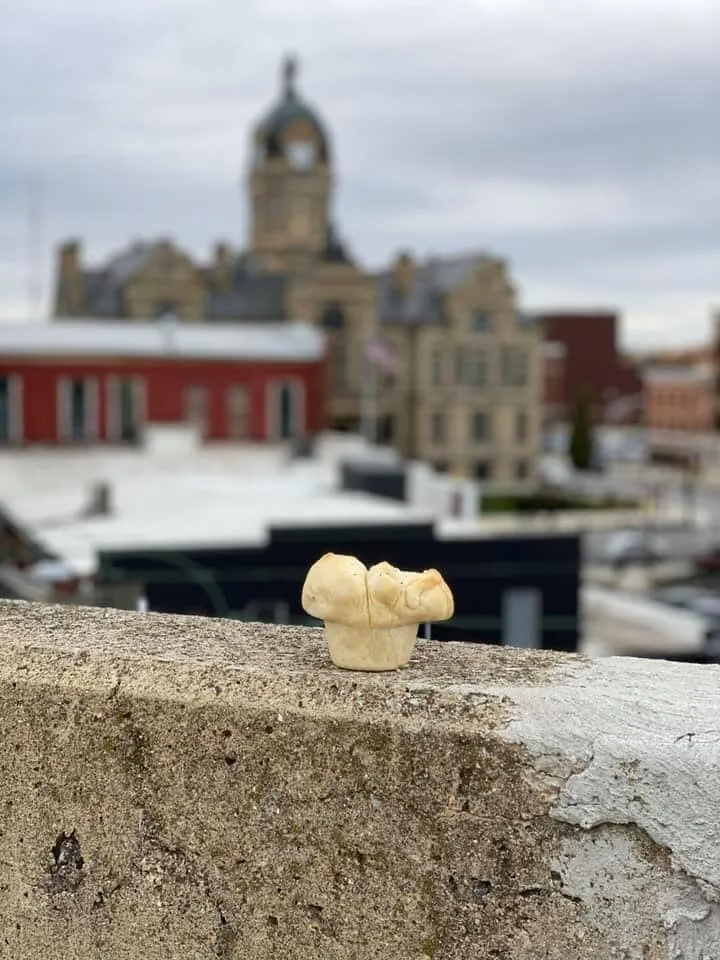 The Baking Company and Bread Kneads