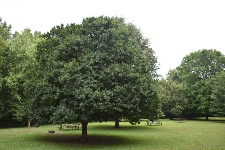 Riverbend Campgrounds