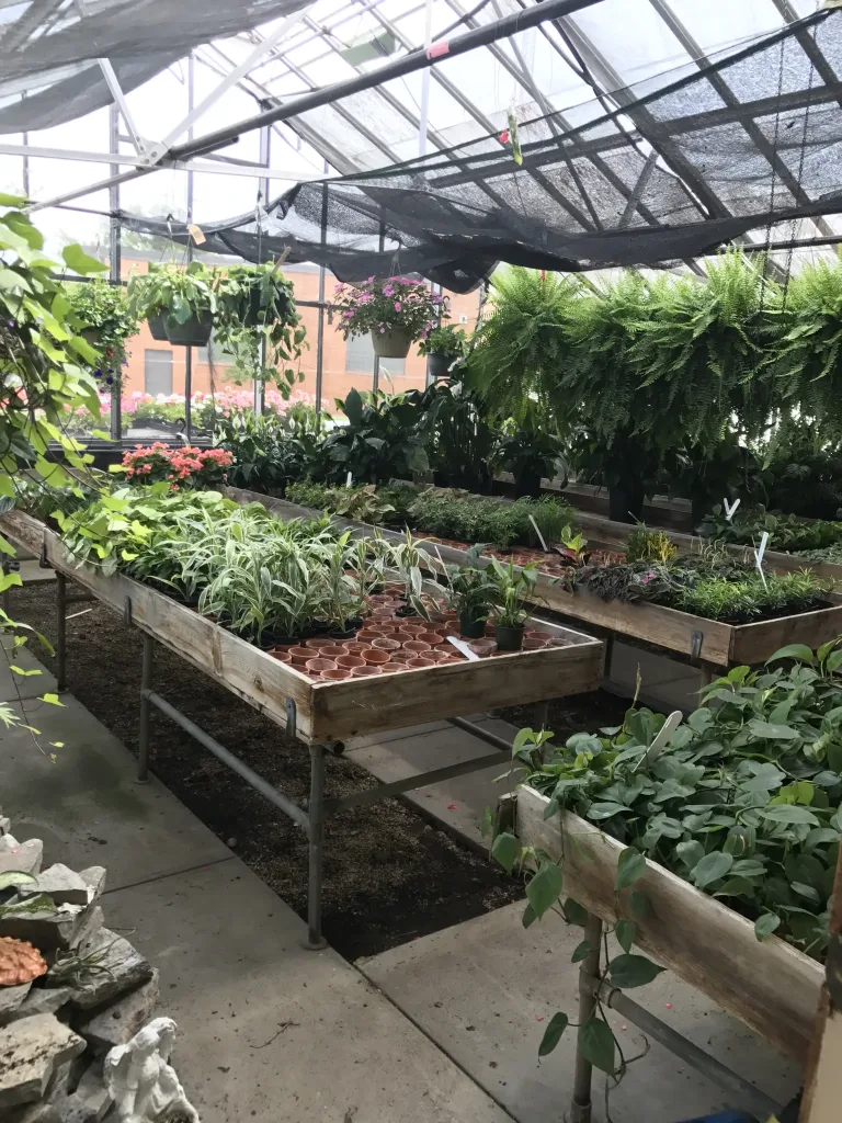 Sink's Flower Shop & Greenhouse