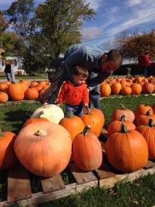 It's the Great Pumpkin, Hancock County! Find your pumpkins and more Fall Staples at these Hancock County locations! • VisitFindlay.com