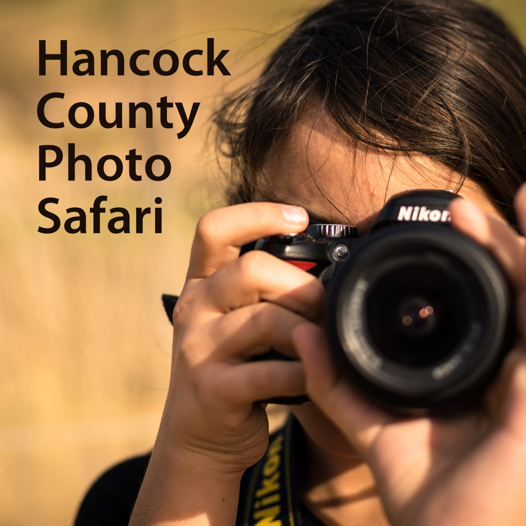 Go on a Photo Safari in Hancock County! Check out our parks, historic homes, barn quilt trail, and much more, use #VisitFindlay to show off your photos! • VisitFindlay.com