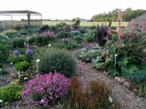 Each month we bring you a hidden gem in Findlay and Hancock County and this month we are featuring the garden tours at Perennial Plant Peddler! • VisitFindlay.com