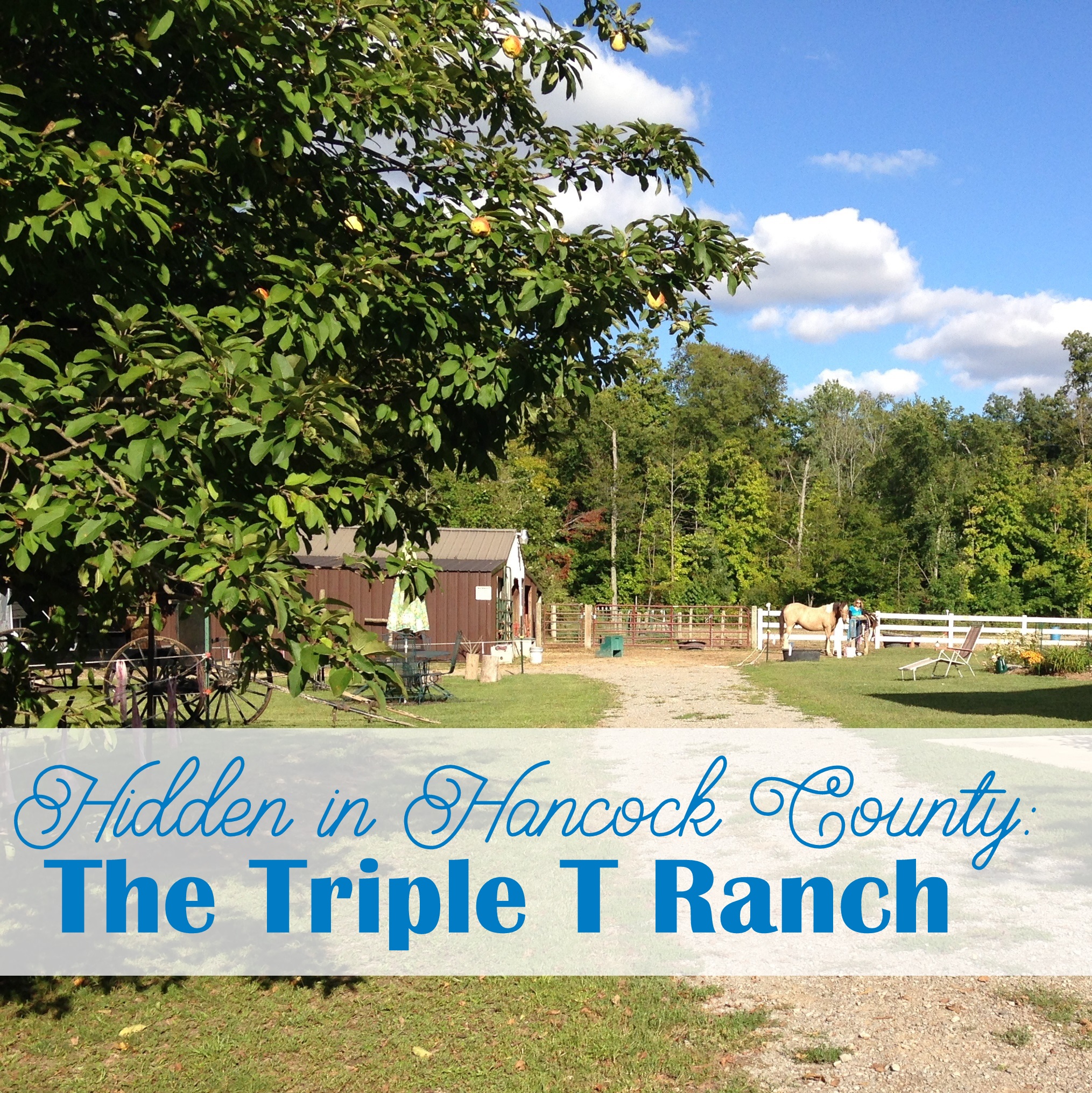 Hancock County is home to many hidden gems, don't miss this one! Triple T Ranch is a great place for horseback riding, your child's birthday party, and a day of fun! • VisitFindlay.com