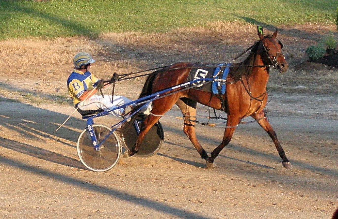 The 2016 Hancock County Fair is around the corner, don't miss any of the great attractions, food, or events awaiting you and your family this Labor Day weekend! • VisitFindlay.com