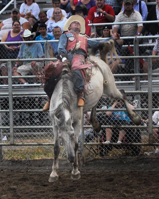The 2016 Hancock County Fair is around the corner, don't miss any of the great attractions, food, or events awaiting you and your family this Labor Day weekend! • VisitFindlay.com