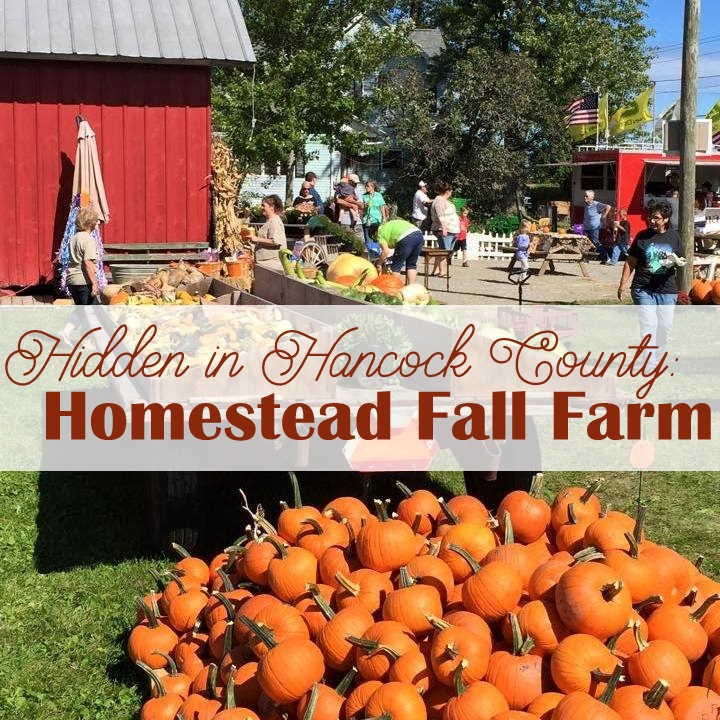 Hancock County is home to many great treasures and this month we are featuring all the fun to be had this season at Homestead Fall Farm! • VisitFindlay.com