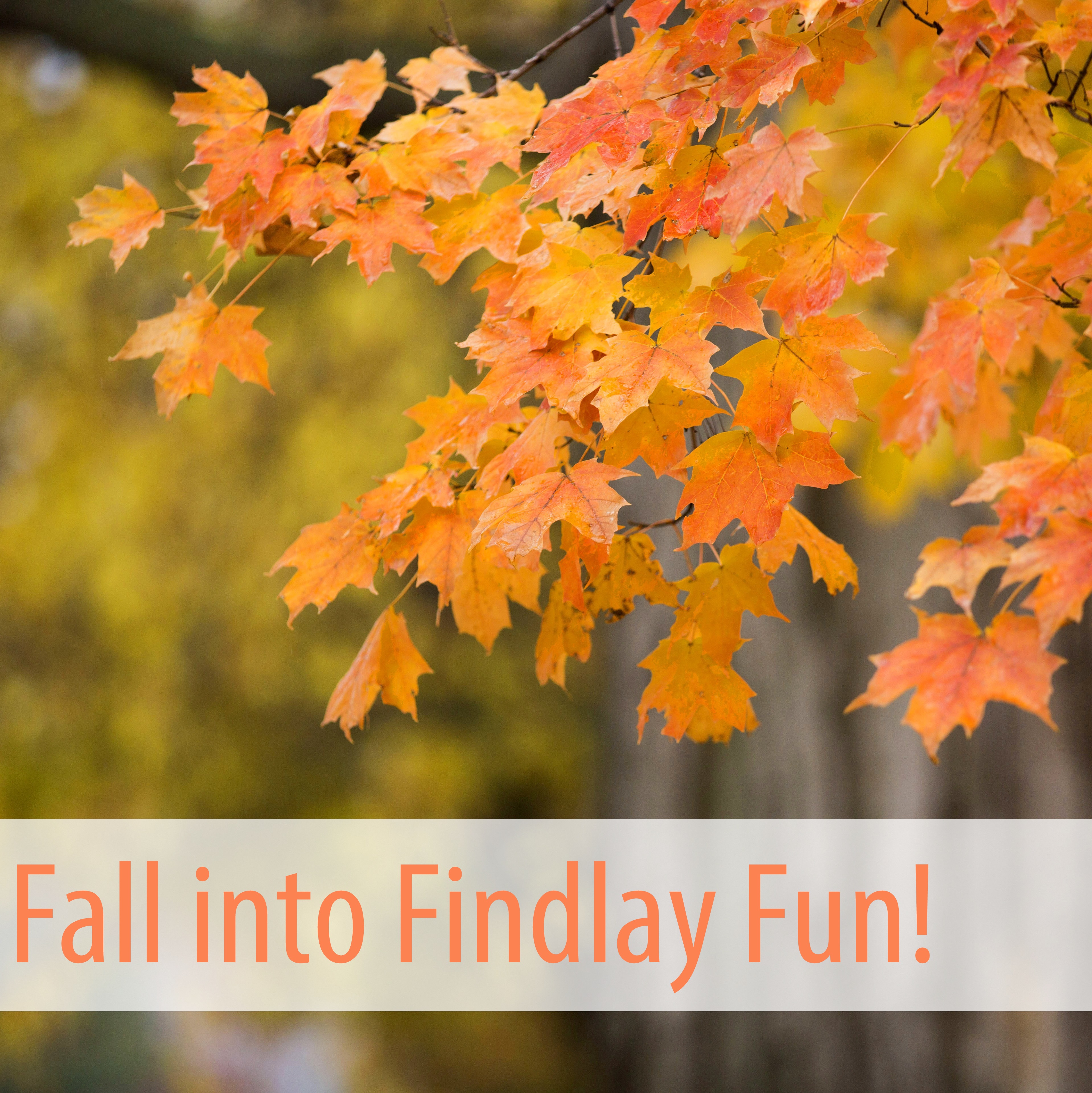 Take advantage of all the fun awaiting your family in Findlay this Fall! • VisitFindlay.com
