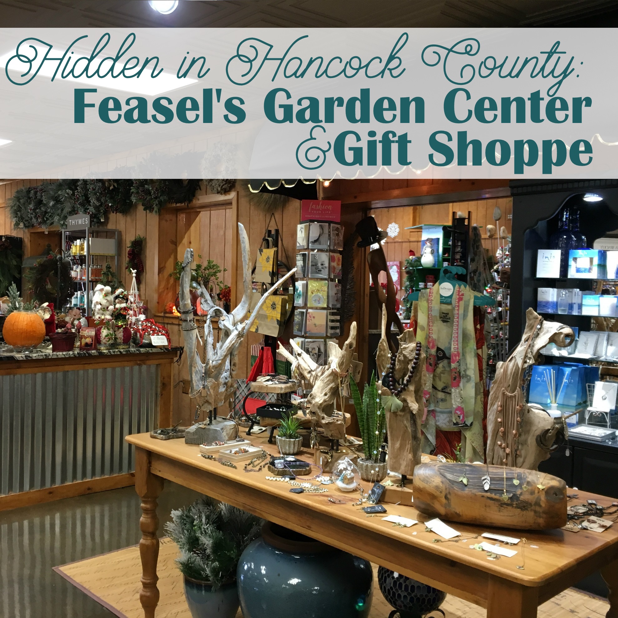 Hancock County is home to many great treasures and this month we are featuring the great events and holiday gifts at Feasel's Garden Center and Gift Shoppe! • VisitFindlay.com