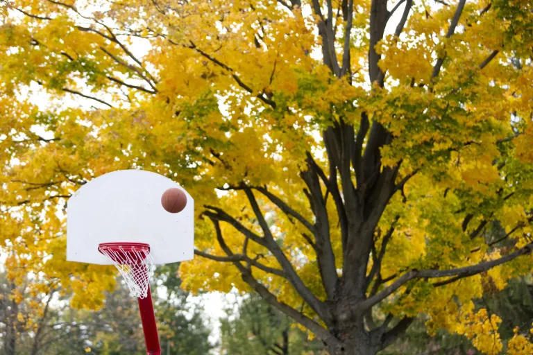 Aeraland Recreation Area