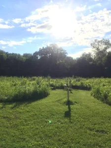 Looking for a fun spot to enjoy Findlay with your dog?  Check out Zach's experience at Oakwoods Nature Preserve!  •  VisitFindlay.com