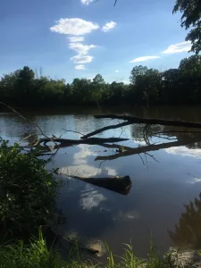 Looking for a fun spot to enjoy Findlay with your dog?  Check out Zach's experience at Oakwoods Nature Preserve!  •  VisitFindlay.com
