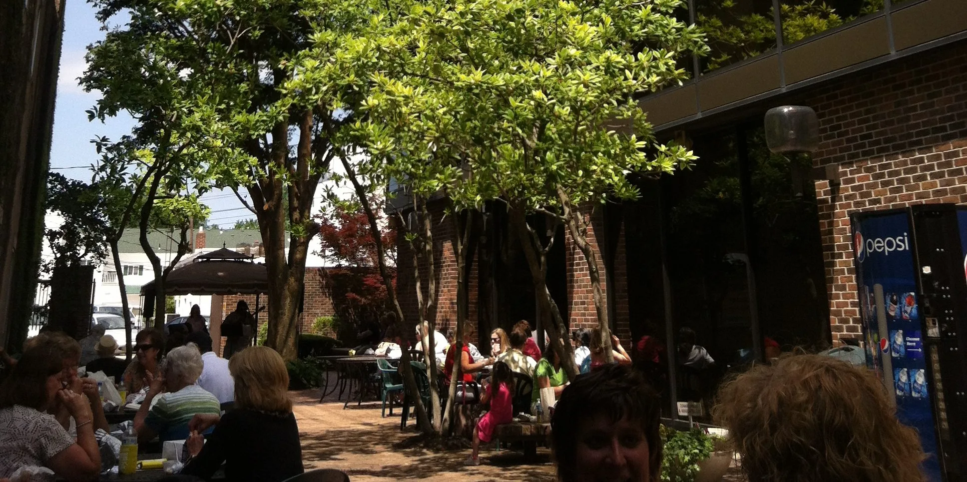 3 Free Things to Do in Findlay this Summer - Visit Findlay