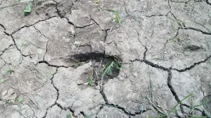 Each visit to Riverbend Recreation Area is a memory to be treasured for a lifetime. Whether your children are small and independent, hours of fun await. • VisitFindlay.com 