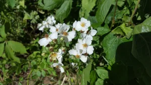 Each visit to Riverbend Recreation Area is a memory to be treasured for a lifetime. Whether your children are small and independent, hours of fun await. • VisitFindlay.com 