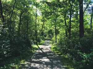 Want to find the best places to go running in Findlay?  Try out these five spots that are Visit Findlay blogger Jessica's favorites!  •  VisitFindlay.com