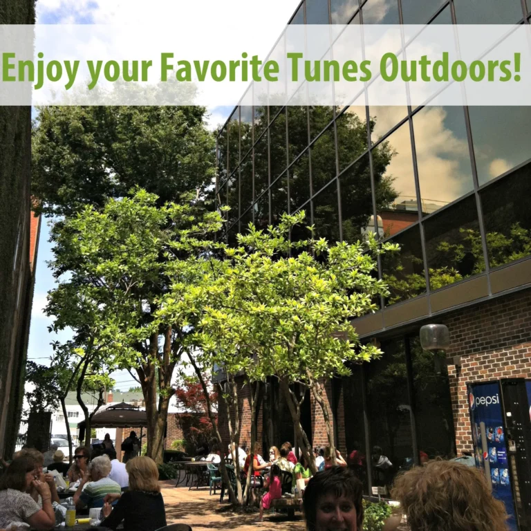 Enjoy your Favorite Tunes Outdoors this Summer