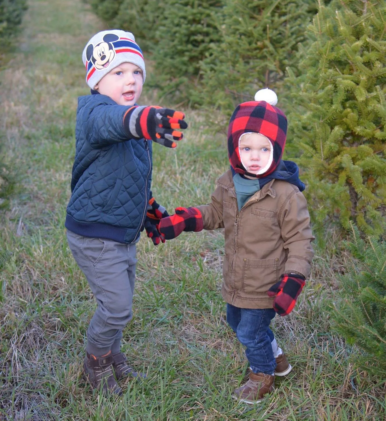 Holiday Family Fun at Kaleidoscope Farms!