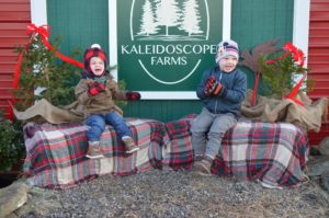 Visit Findlay Blogger Ashley shares the perfect place for holiday fun, at Kaleidoscope Farms, with Christmas trees, delicious treats, and a great gift shop! • VisitFindlay.com