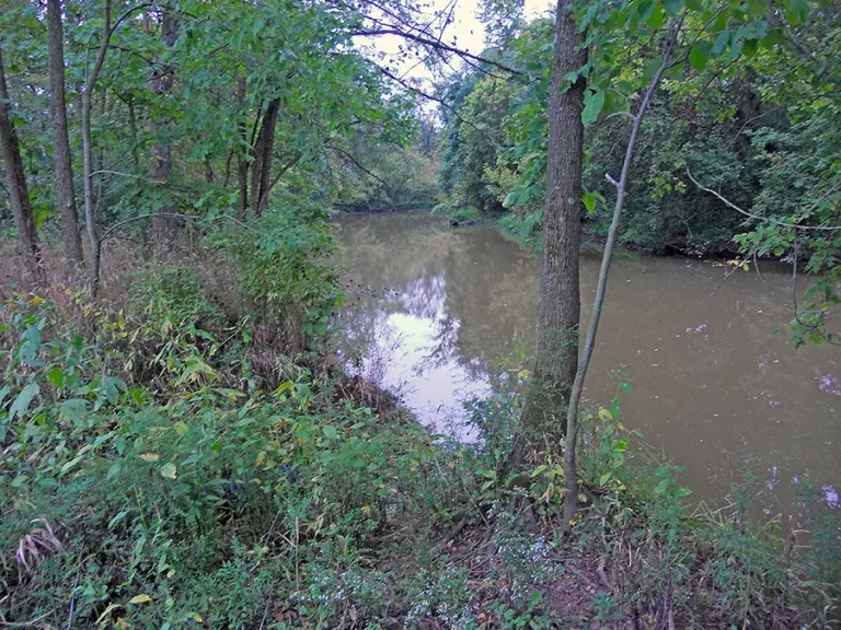 Blanchard River Nature Preserve
