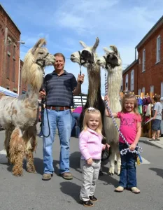 Visit Findlay Blogger Paula invites you to her hometown for the Bluffton Arts and Crafts Festival! Live music, family activities, art vendors & more await! • VisitFindlay.com