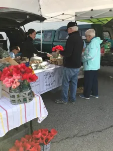 Visit Findlay Blogger Paula invites you to her hometown for the Bluffton Arts and Crafts Festival! Live music, family activities, art vendors & more await! • VisitFindlay.com