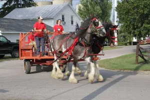 Visit Findlay's Danielle breaks down the top three things that she is looking forward to during this year's Arlington Village Festival in Arlington, Ohio! • VisitFindlay.com