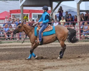 Celebrate the unofficial end of summer with Visit Findlay's Danielle's step-by-step guide to the Hancock County Fair in Findlay, Ohio! • VisitFindlay.com