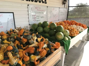 It's the Great Pumpkin, Hancock County! Find your pumpkins and more Fall Staples at these Hancock County locations! • VisitFindlay.com