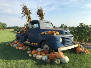 Fall isn't just for the kids, there is plenty of fun for adults too! Check out our list of Fall Essentials for you and friends to enjoy! • VisitFindlay.com