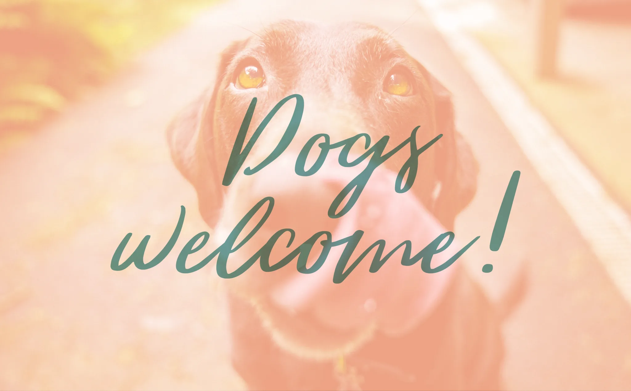 Visit Findlay blogger (and MCPA Marketing Manager) Megan Talbert shares her tips to make your first (or 11th) trip to Summer Sips Wine Festival a great one! • VisitFindlay.com