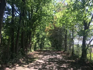 Riverbend Recreation Area