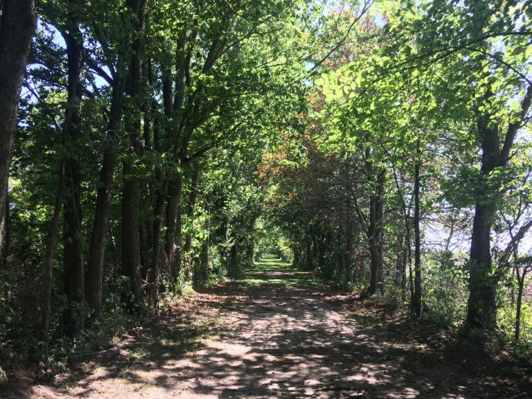 A Perfect Day in Findlay