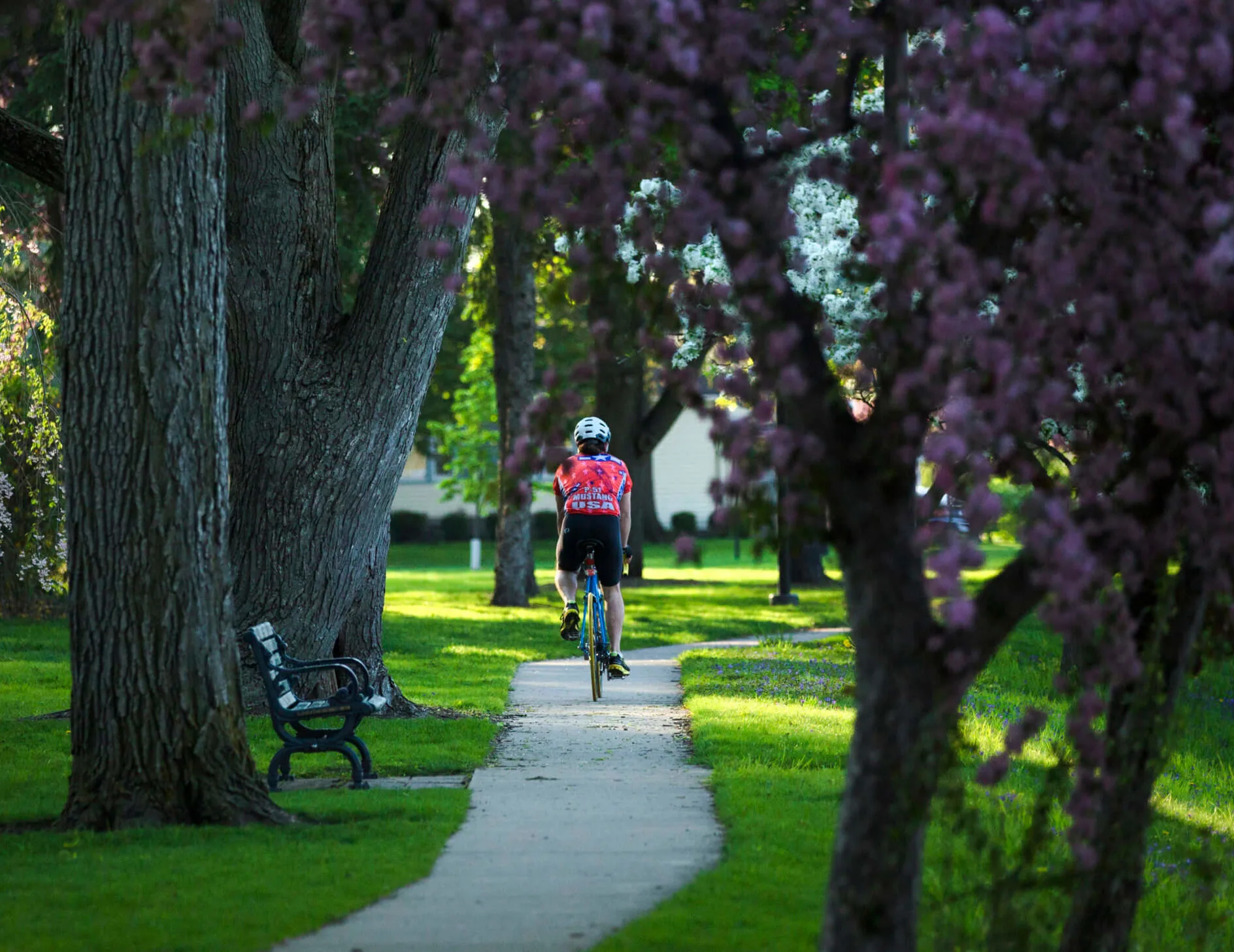 Easter at Home: Enjoy the Day