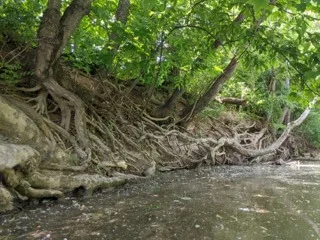 Visit Findlay blogger Sarah shares her family's experience with kayaking on the Blanchard River, perfect for a fun, family-friendly outdoor activity! • VisitFindlay.com
