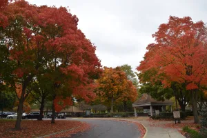 Fall isn't just for the kids, there is plenty of fun for adults too! Check out our list of Fall Essentials for you and friends to enjoy! • VisitFindlay.com