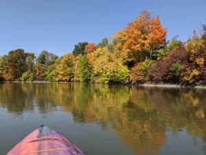 Fall isn't just for the kids, there is plenty of fun for adults too! Check out our list of Fall Essentials for you and friends to enjoy! • VisitFindlay.com