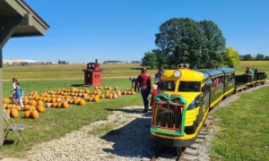 It's the Great Pumpkin, Hancock County! Find your pumpkins and more Fall Staples at these Hancock County locations! • VisitFindlay.com