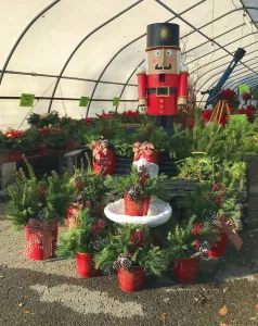 Visit Findlay director Alissa Preston shares how she and her family are continuing their Thanksgiving traditions in Findlay safely! • VisitFindlay.com