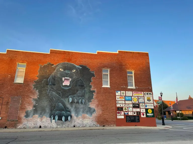 McComb Panthers mural