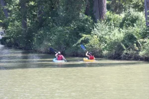 Having fun in Findlay this summer doesn't need to break the bank. See these Budget-Friendly summer activities that are $5 and less! • VisitFindlay.com