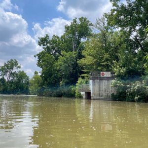 Paddling the Blanchard River Water Trail is a great way to spend a day-hear from Visit Findlay's Danielle for tips from her time on the river. • VisitFindlay.com