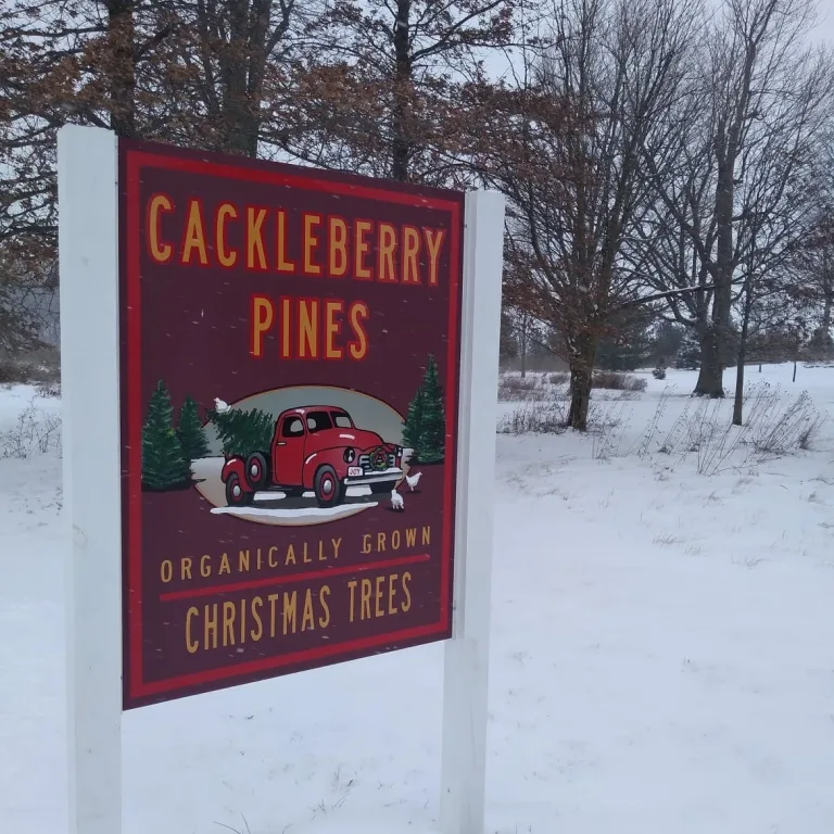 Cackleberry Pines Christmas Tree Farm
