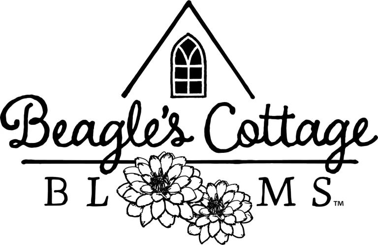 Beagle's Cottage Blooms
