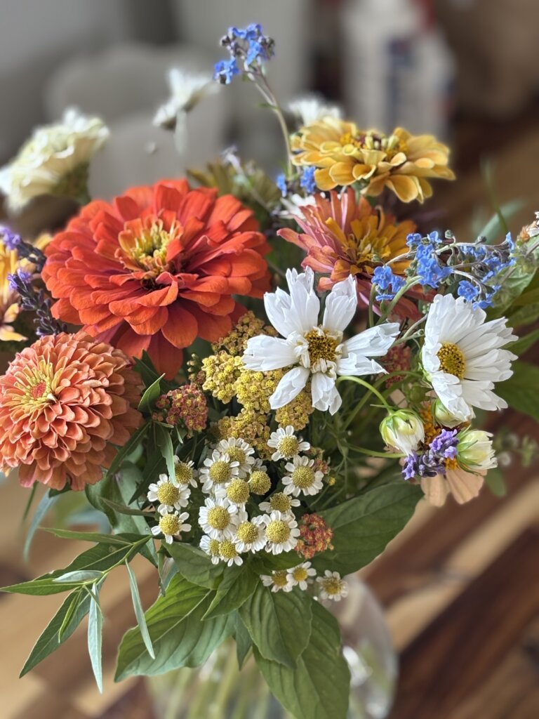 Barn Yard Posies